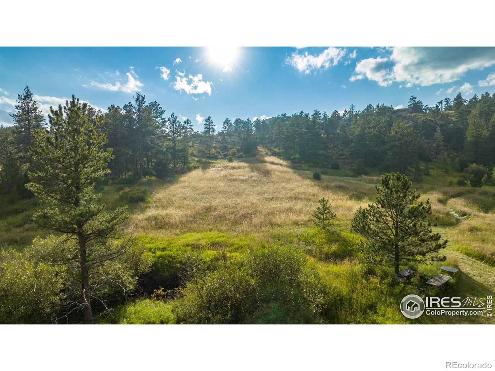 MLS Image #7 for 2915  weaver ranch road,livermore, Colorado