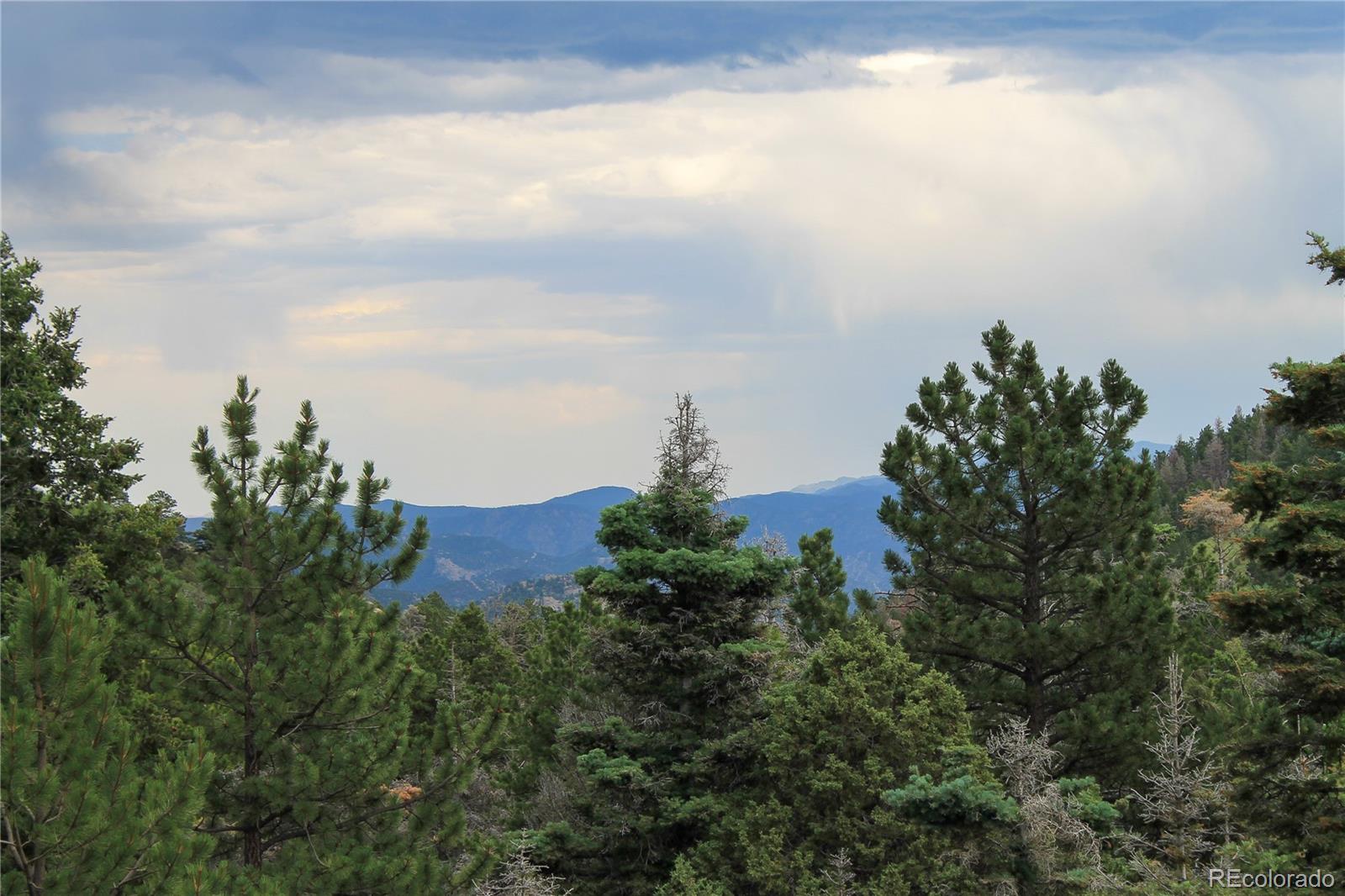 MLS Image #12 for 160  nuthatch drive,cotopaxi, Colorado