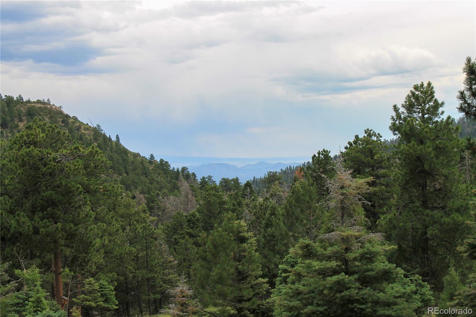 MLS Image #14 for 160  nuthatch drive,cotopaxi, Colorado