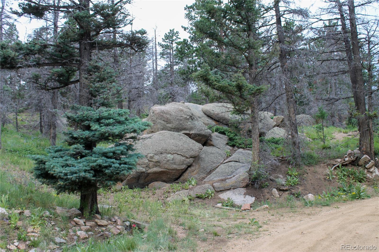 MLS Image #48 for 160  nuthatch drive,cotopaxi, Colorado