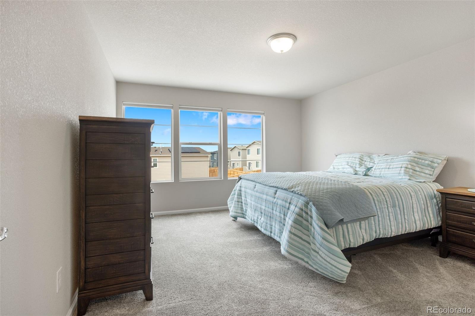 MLS Image #13 for 6229  godwit lane,colorado springs, Colorado