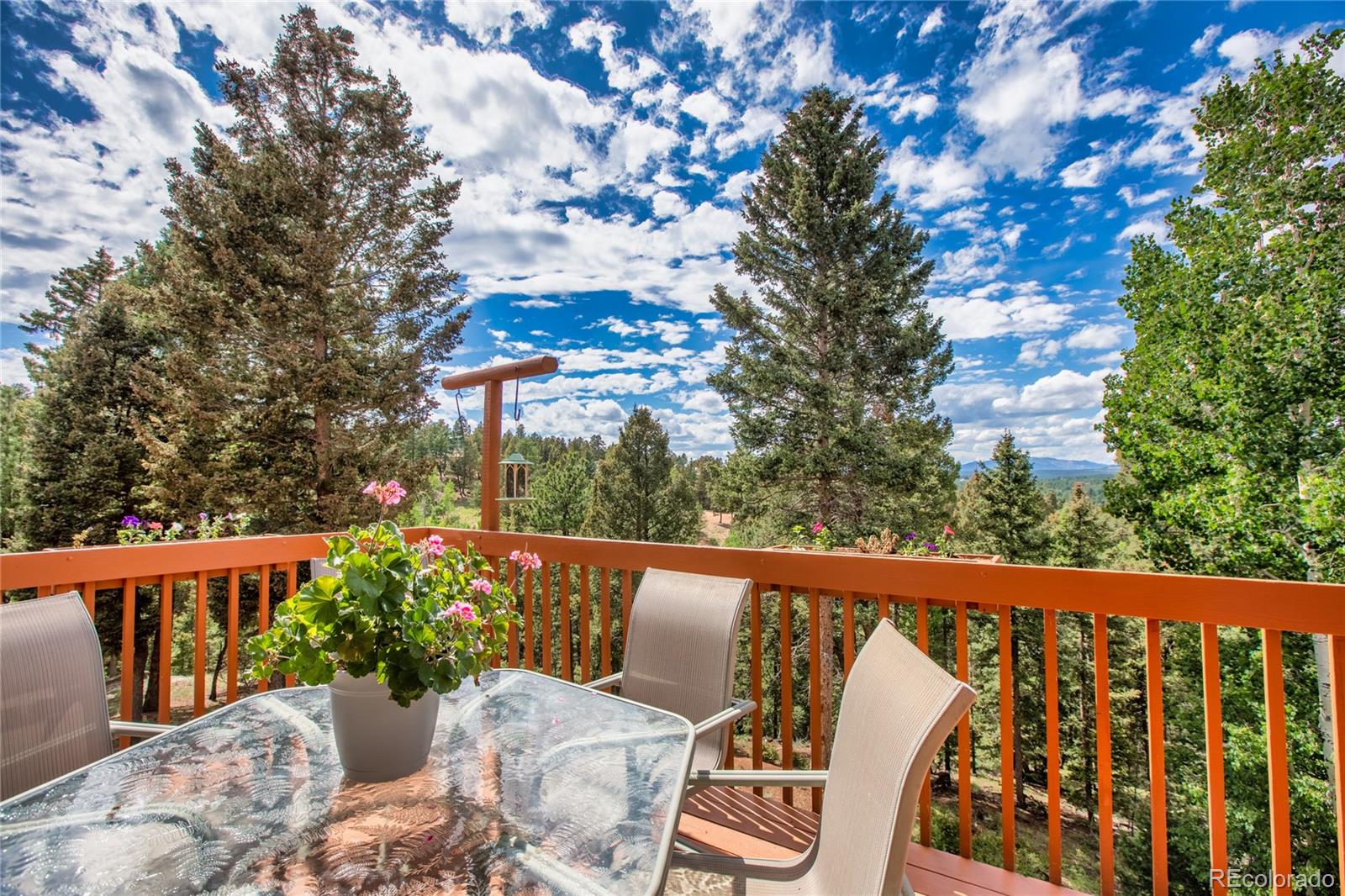 MLS Image #29 for 183  candle lake drive,divide, Colorado