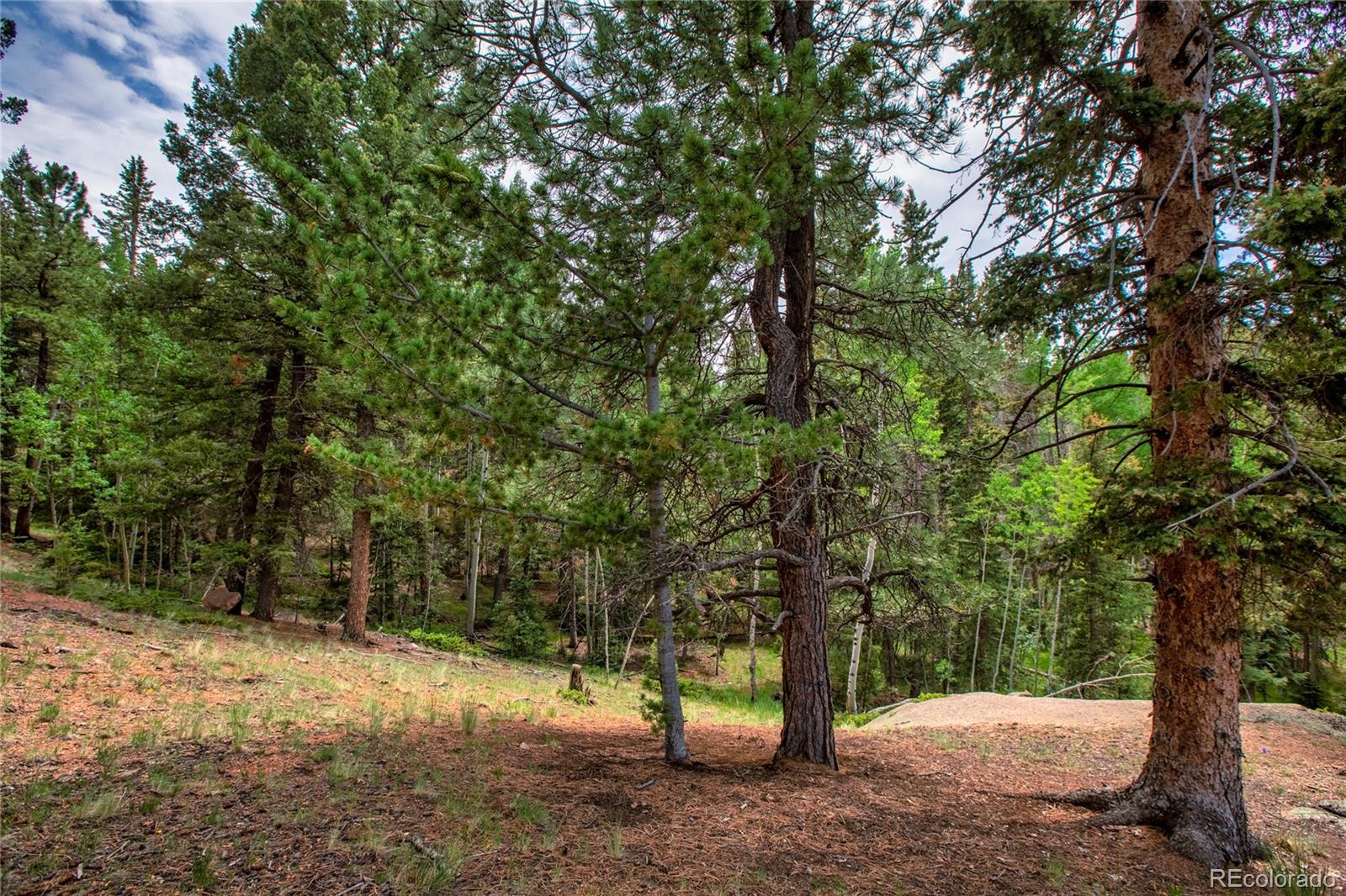 MLS Image #34 for 183  candle lake drive,divide, Colorado