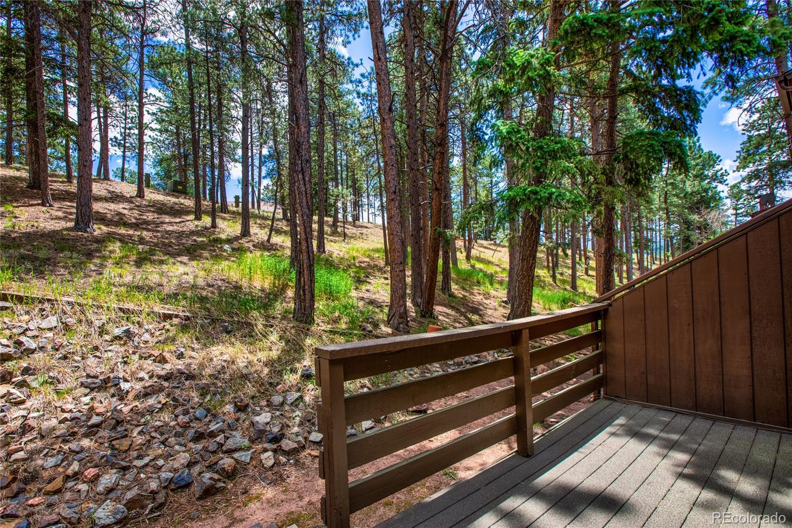 MLS Image #2 for 570  manor court,woodland park, Colorado