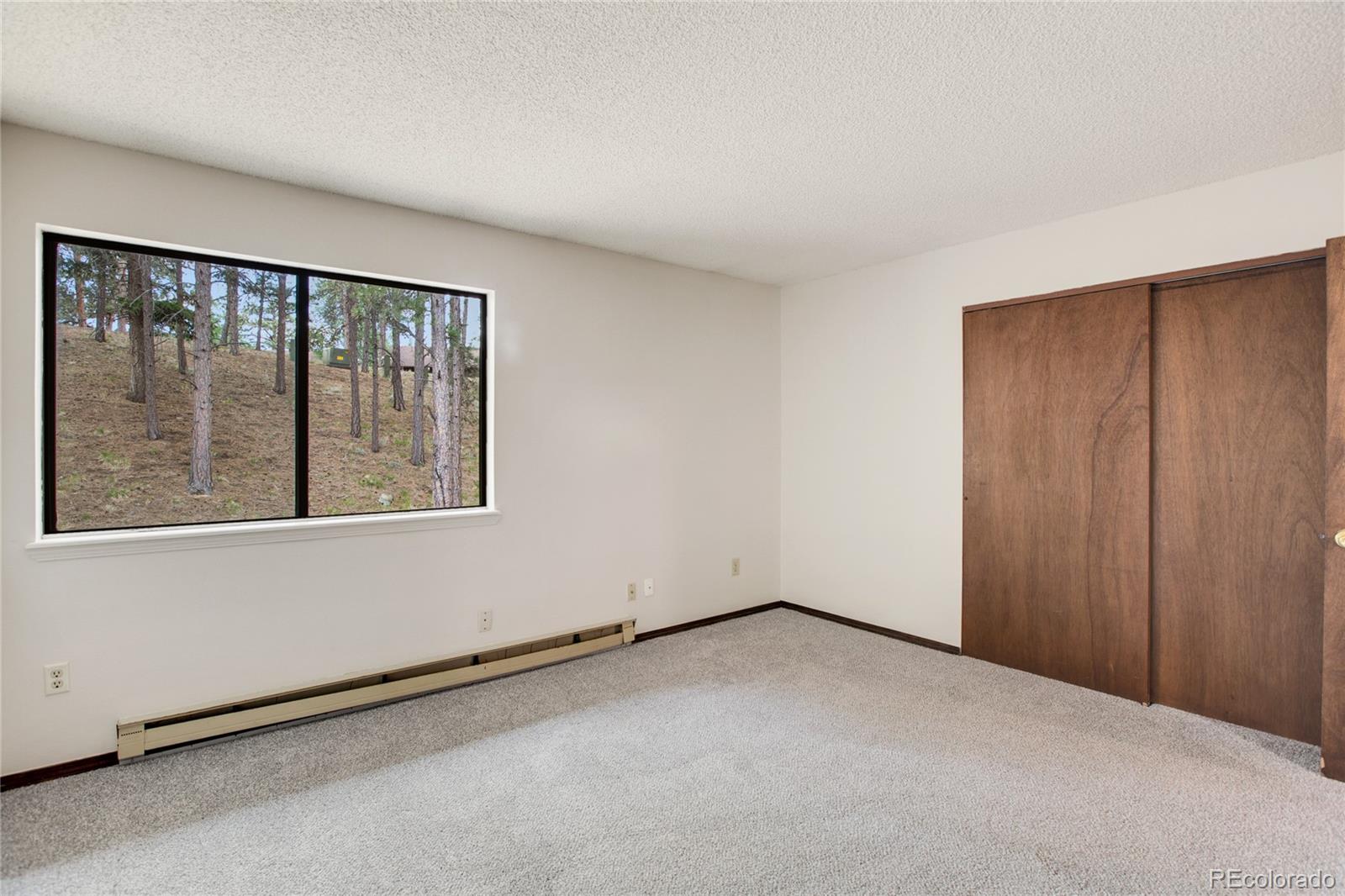 MLS Image #22 for 570  manor court,woodland park, Colorado