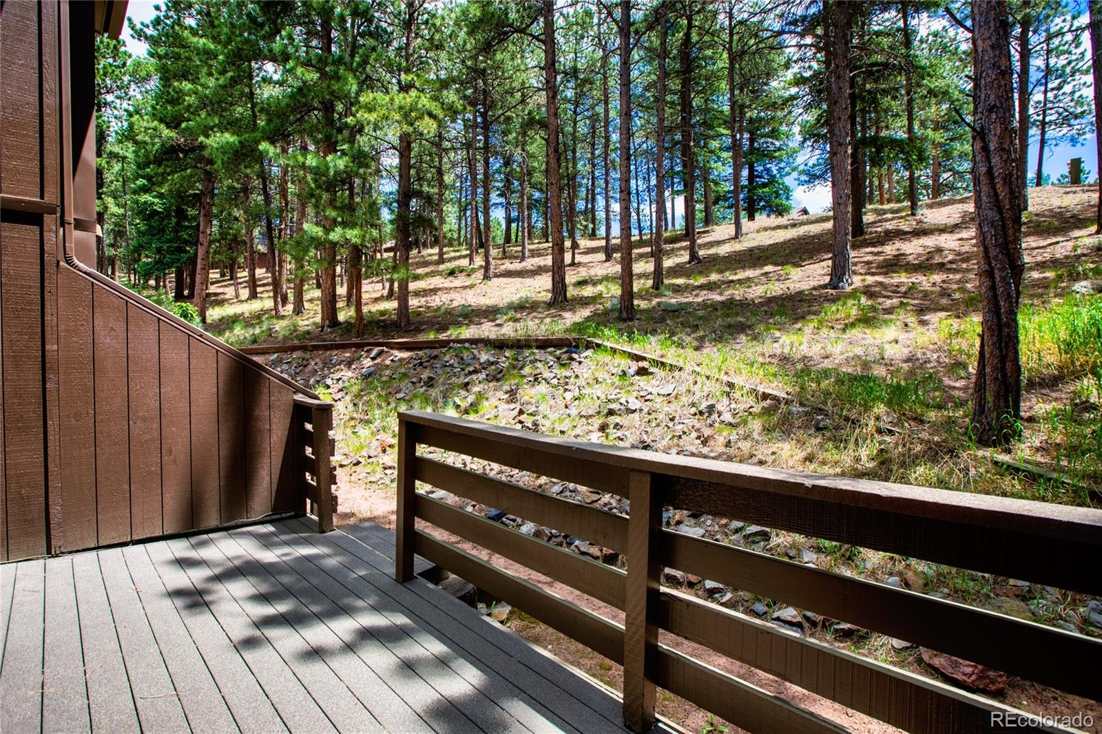 MLS Image #3 for 570  manor court,woodland park, Colorado