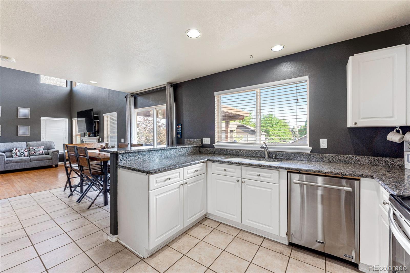 MLS Image #10 for 5124  sydney avenue,highlands ranch, Colorado