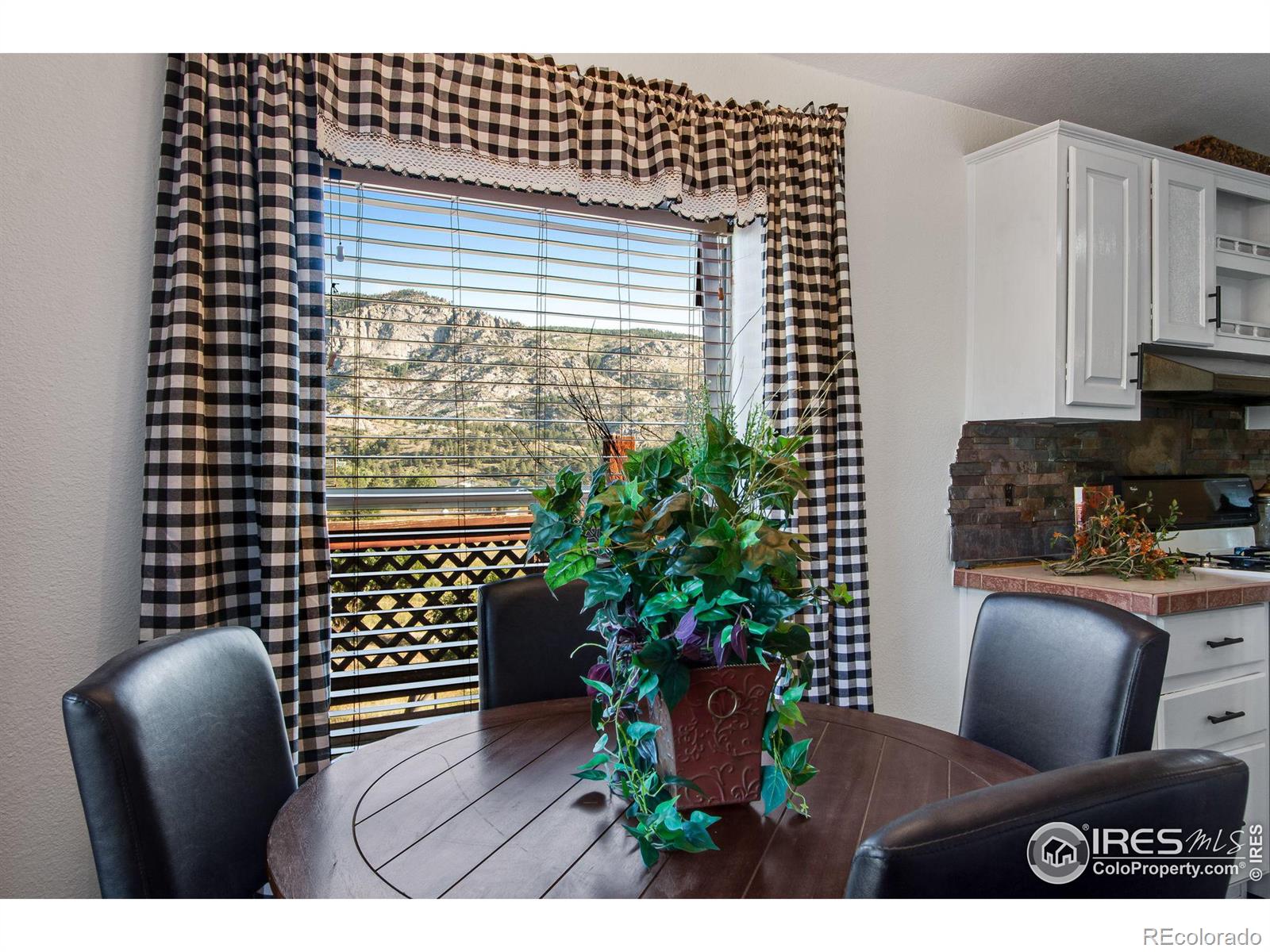 MLS Image #16 for 587  snow top drive,drake, Colorado