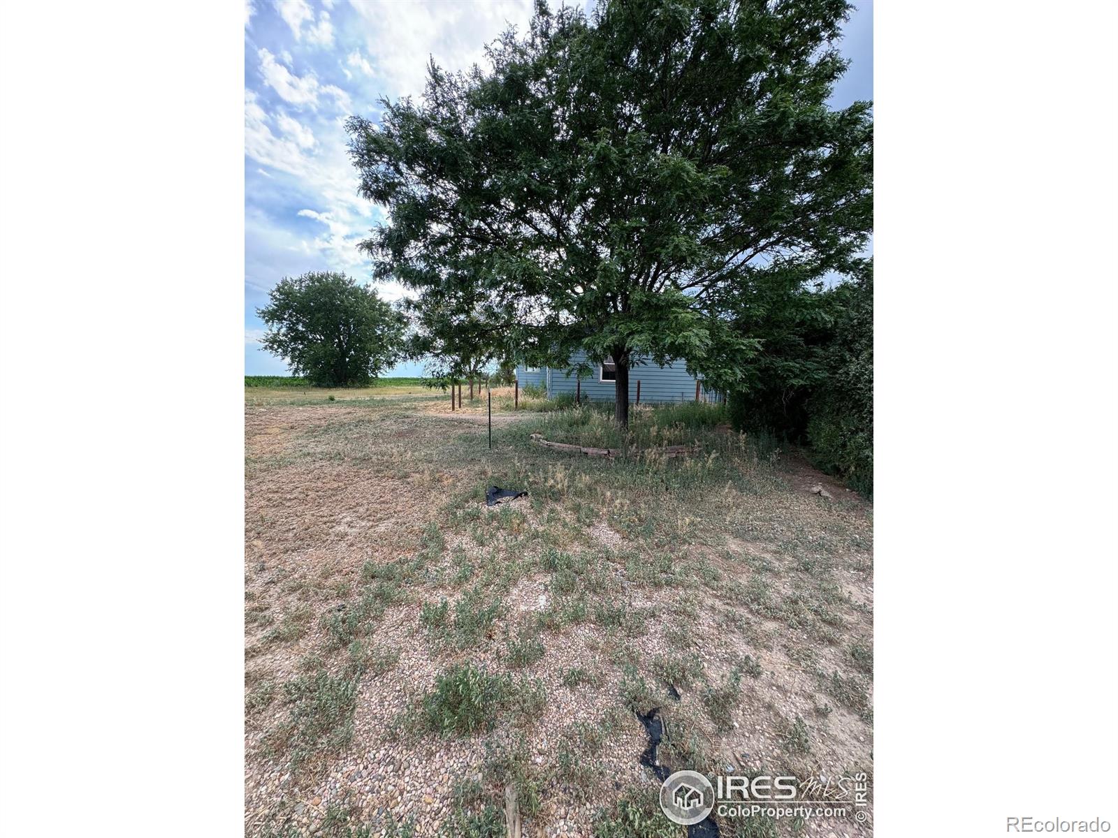 MLS Image #13 for 26414  highway 392 ,gill, Colorado