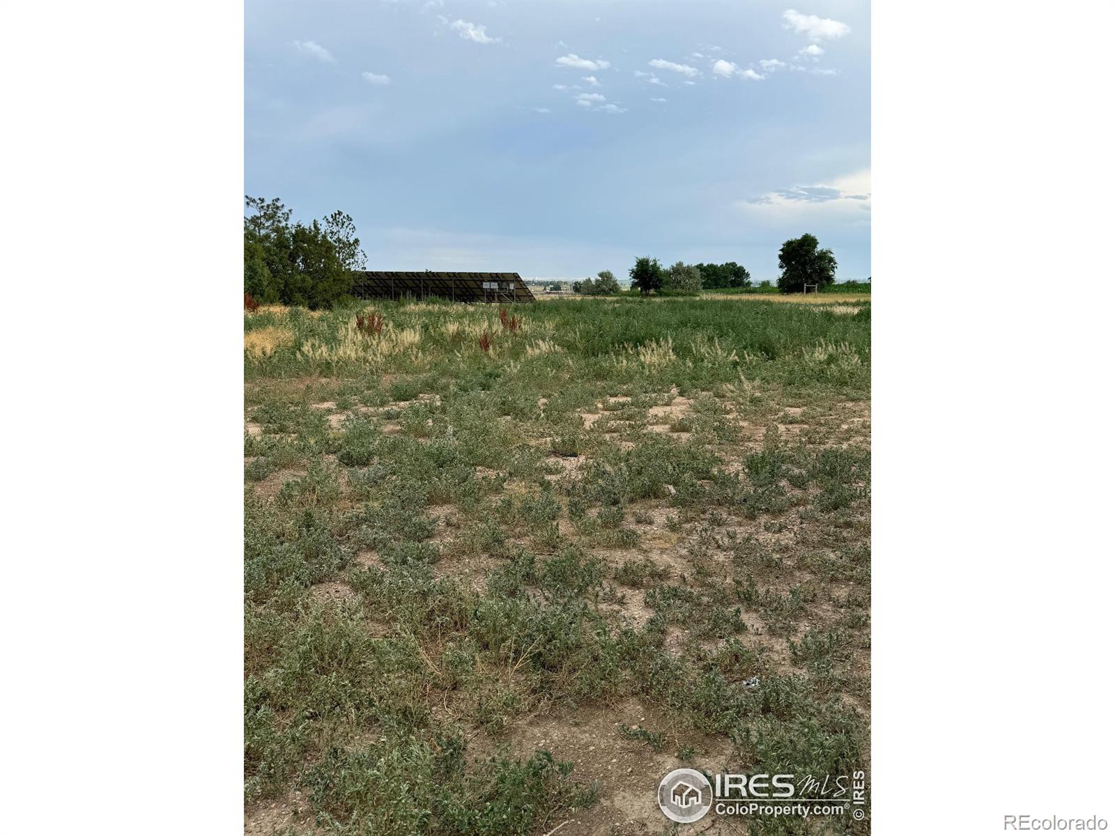 MLS Image #16 for 26414  highway 392 ,gill, Colorado