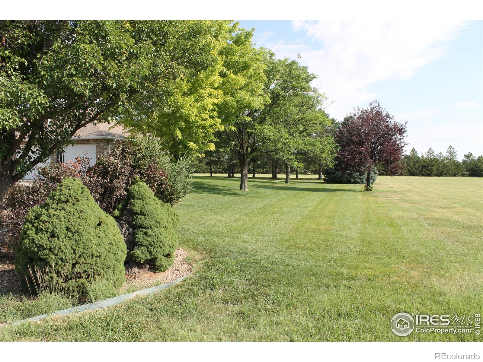 MLS Image #11 for 17785  county road 45 road,burlington, Colorado