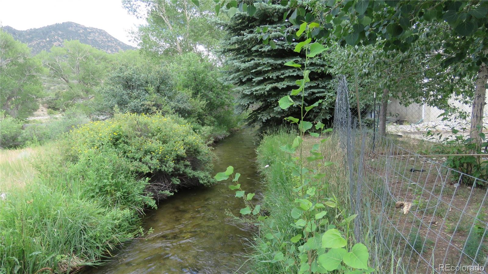 MLS Image #1 for 104  creekside court,buena vista, Colorado