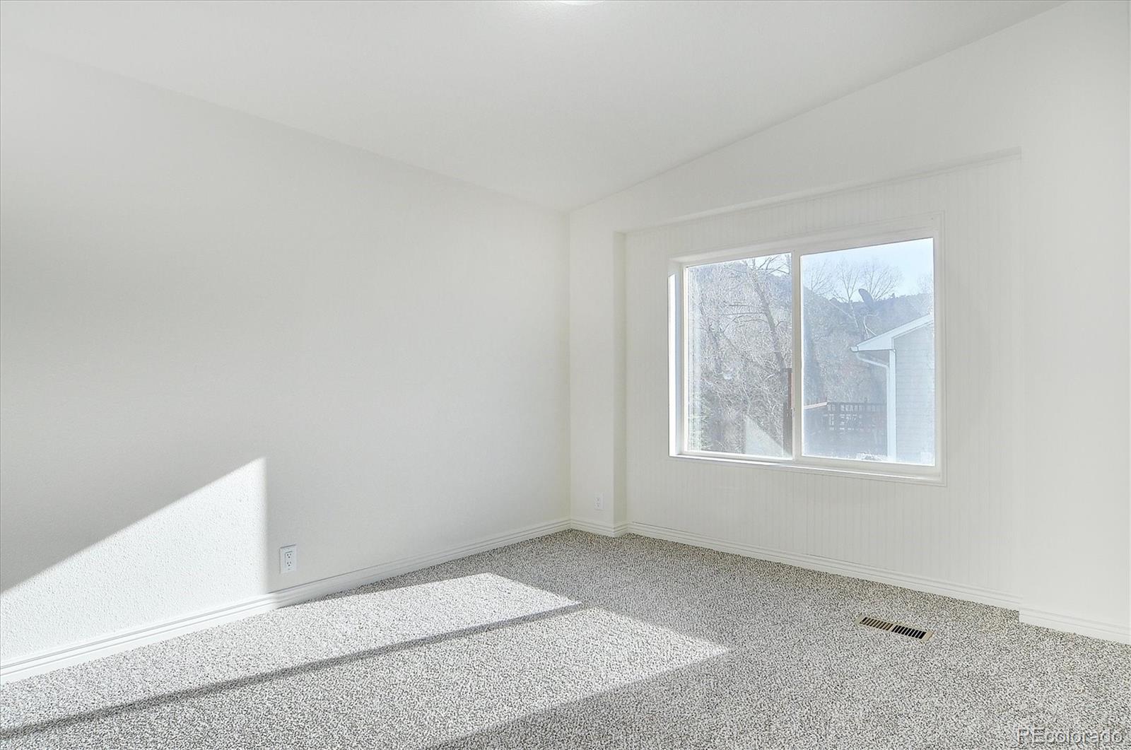 MLS Image #23 for 104  creekside court,buena vista, Colorado