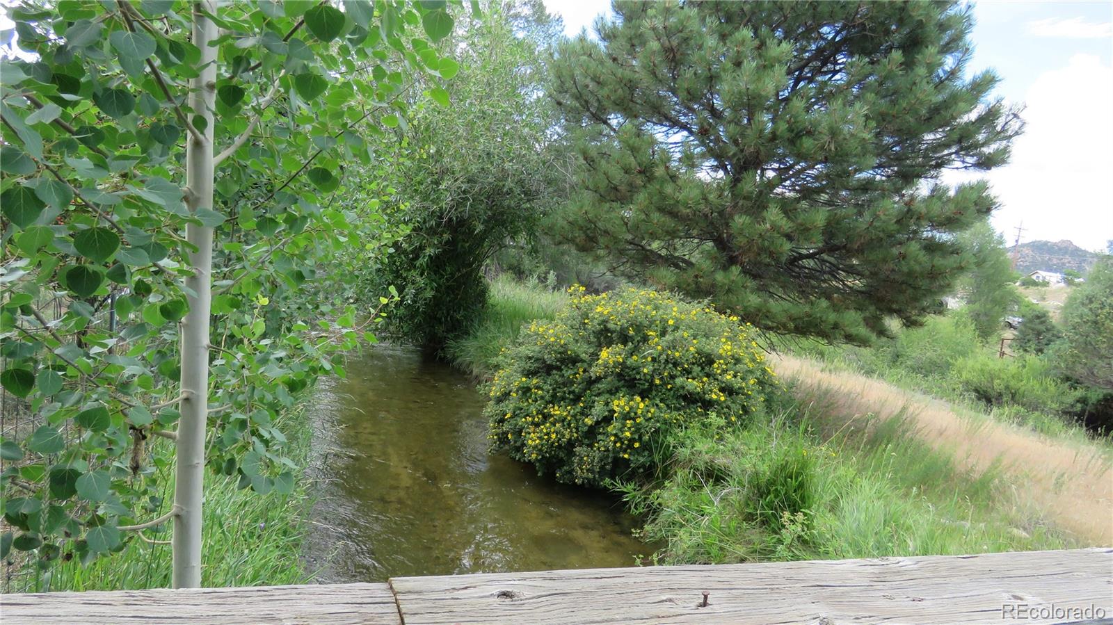 MLS Image #4 for 104  creekside court,buena vista, Colorado