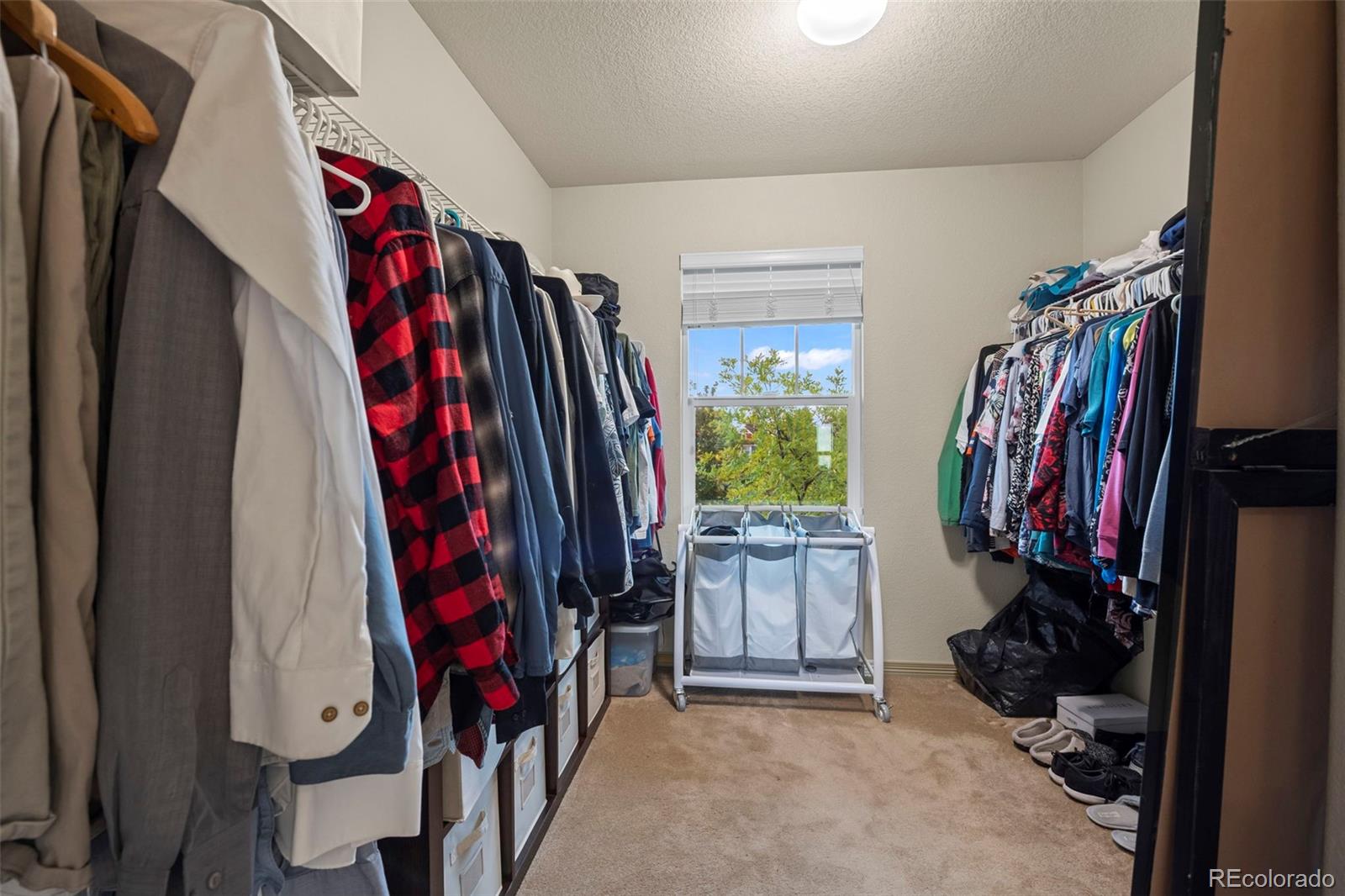MLS Image #19 for 5872 w 94th place,westminster, Colorado