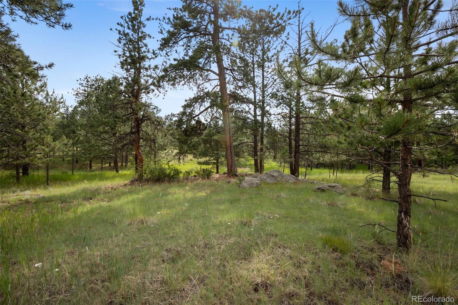 MLS Image #19 for 616  arapahoe drive,florissant, Colorado