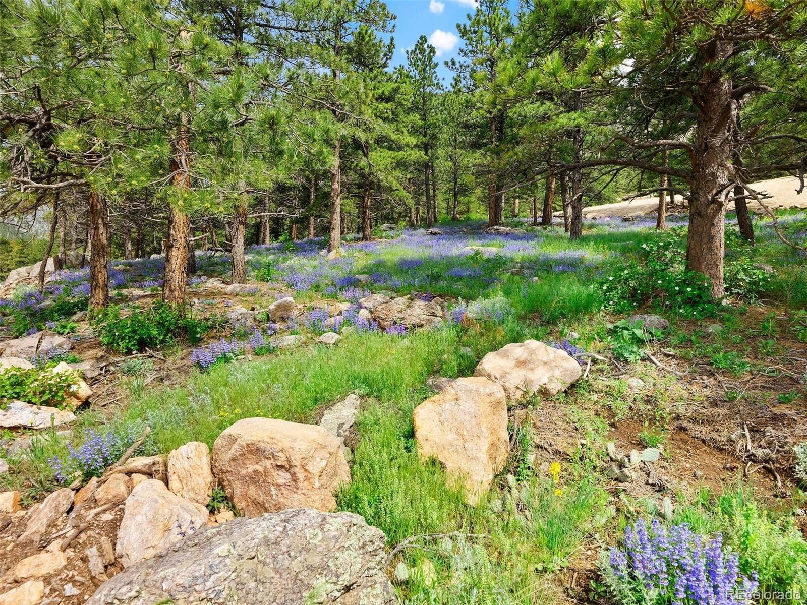 MLS Image #1 for 7  canyon pines drive,golden, Colorado