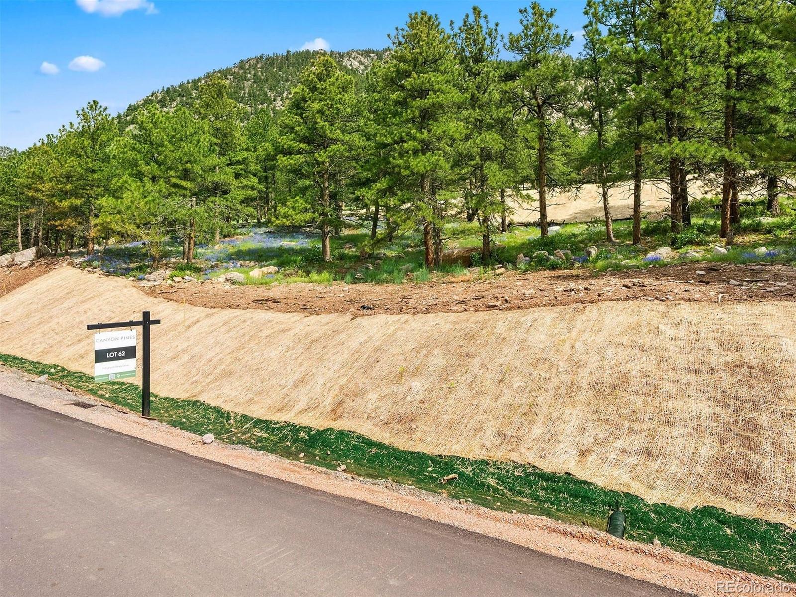 MLS Image #11 for 7  canyon pines drive,golden, Colorado