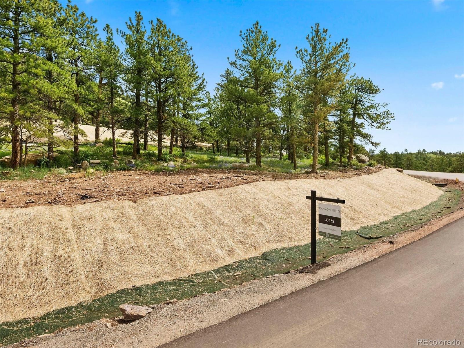MLS Image #5 for 7  canyon pines drive,golden, Colorado