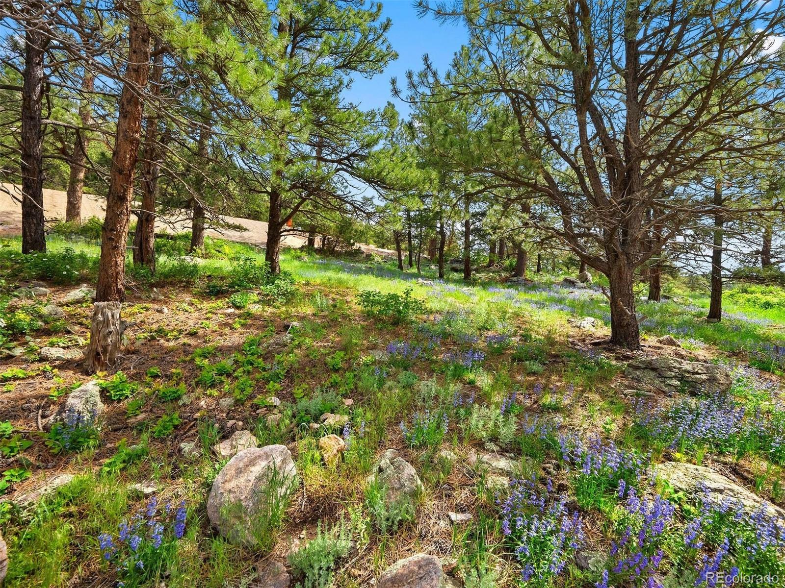 MLS Image #7 for 7  canyon pines drive,golden, Colorado