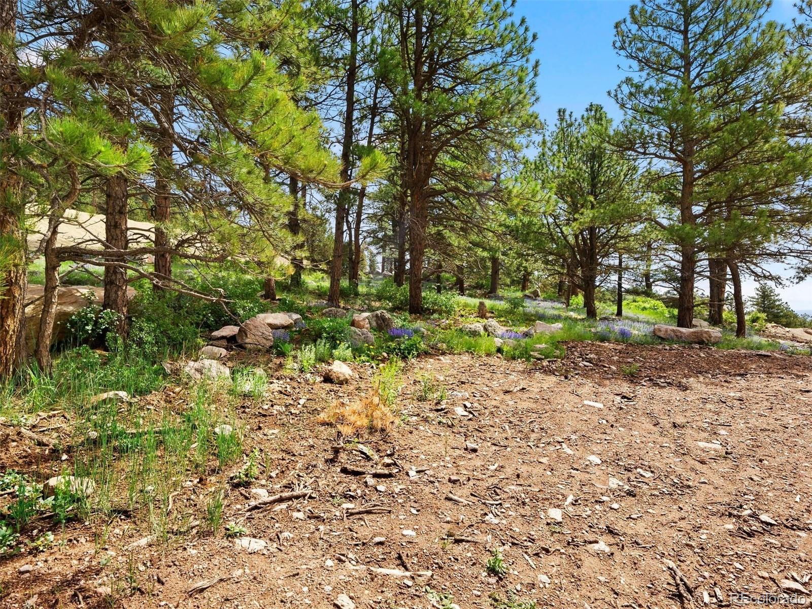 MLS Image #9 for 7  canyon pines drive,golden, Colorado