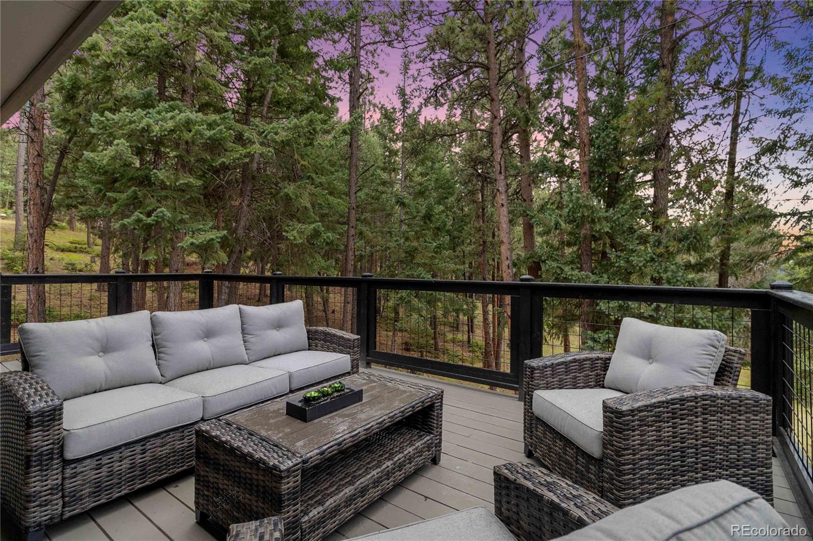 MLS Image #46 for 8201  grizzly way,evergreen, Colorado