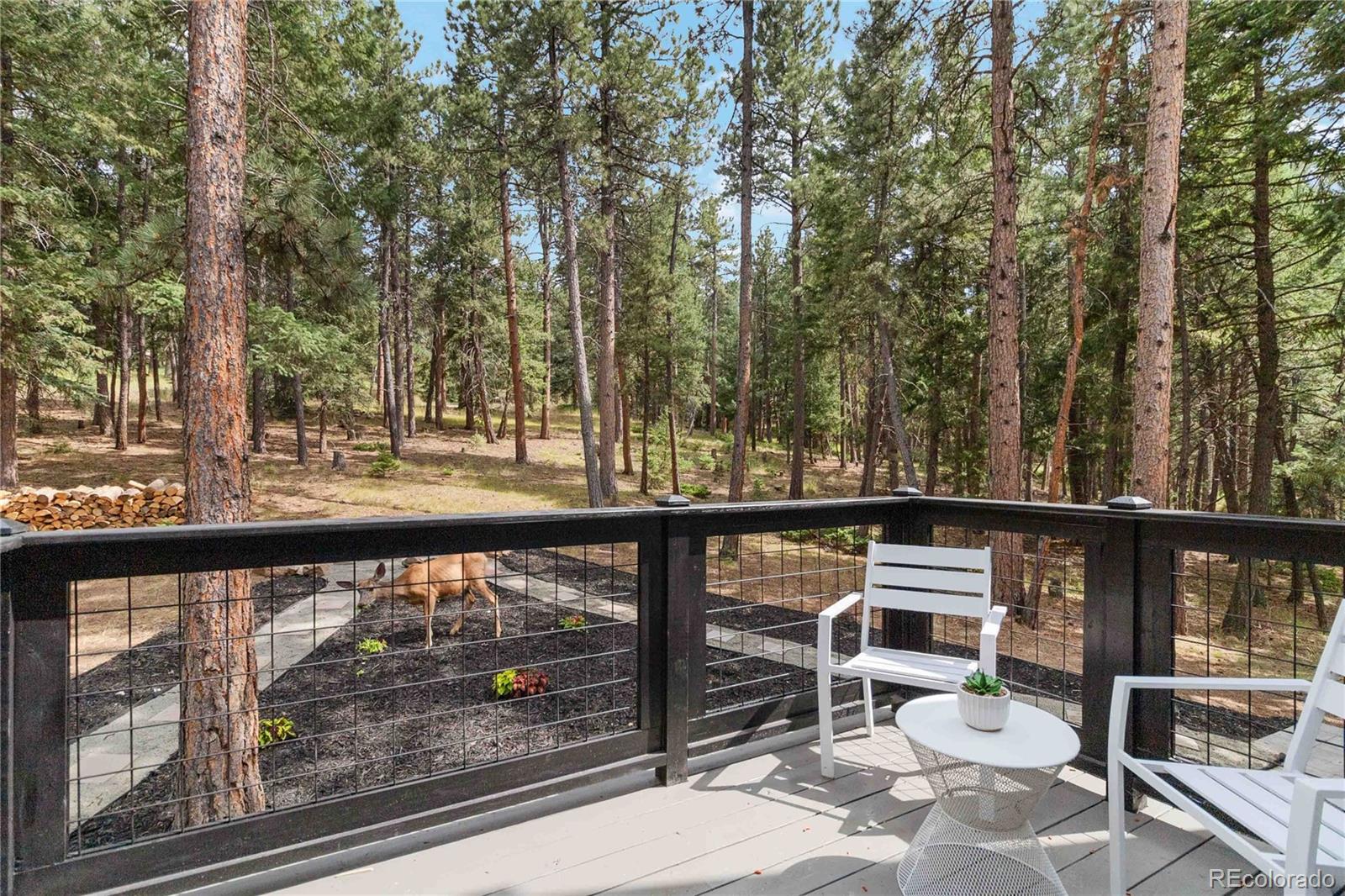 MLS Image #7 for 8201  grizzly way,evergreen, Colorado