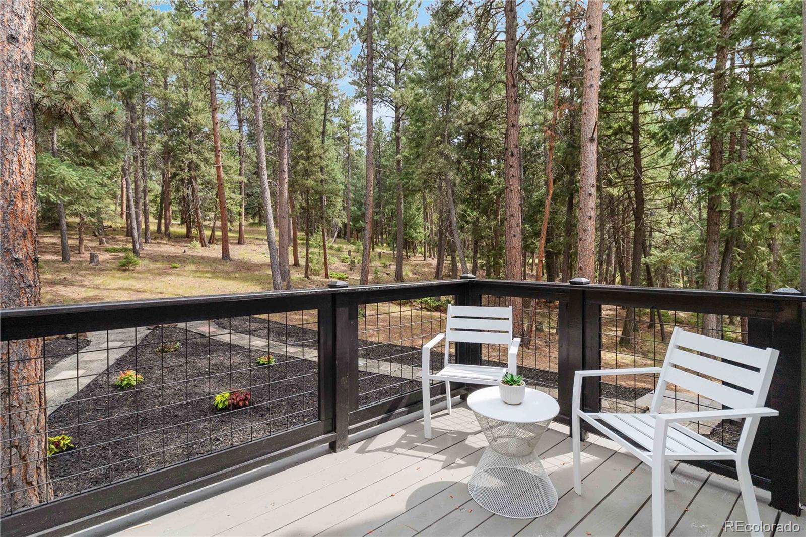 MLS Image #8 for 8201  grizzly way,evergreen, Colorado