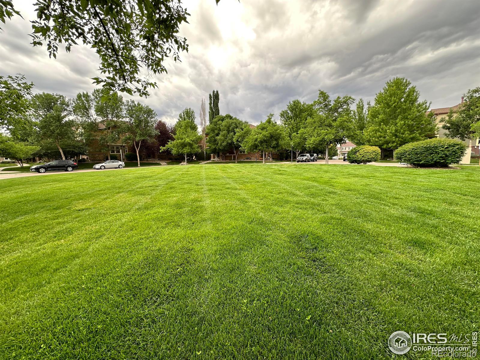 MLS Image #26 for 3808  sky gazer lane,fort collins, Colorado