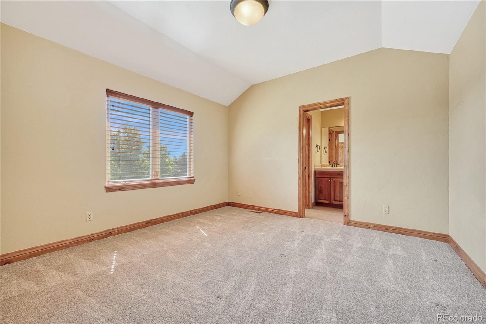 MLS Image #19 for 9374  windhaven drive,parker, Colorado