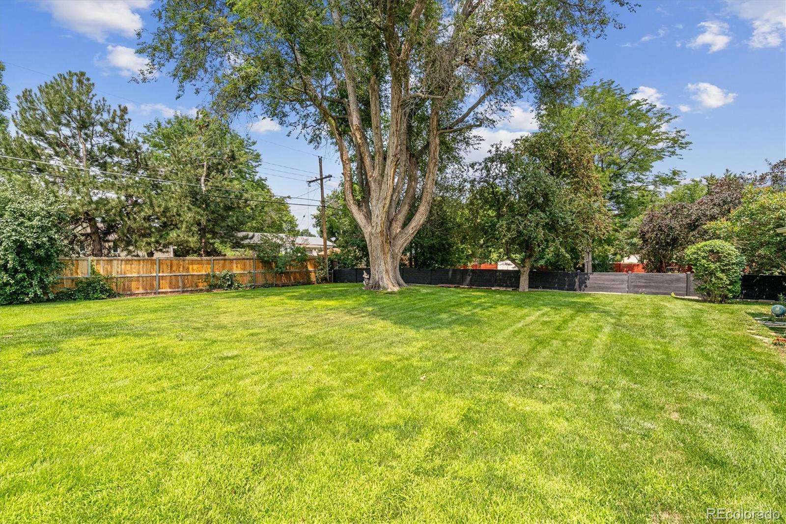 MLS Image #29 for 237  quay street,lakewood, Colorado