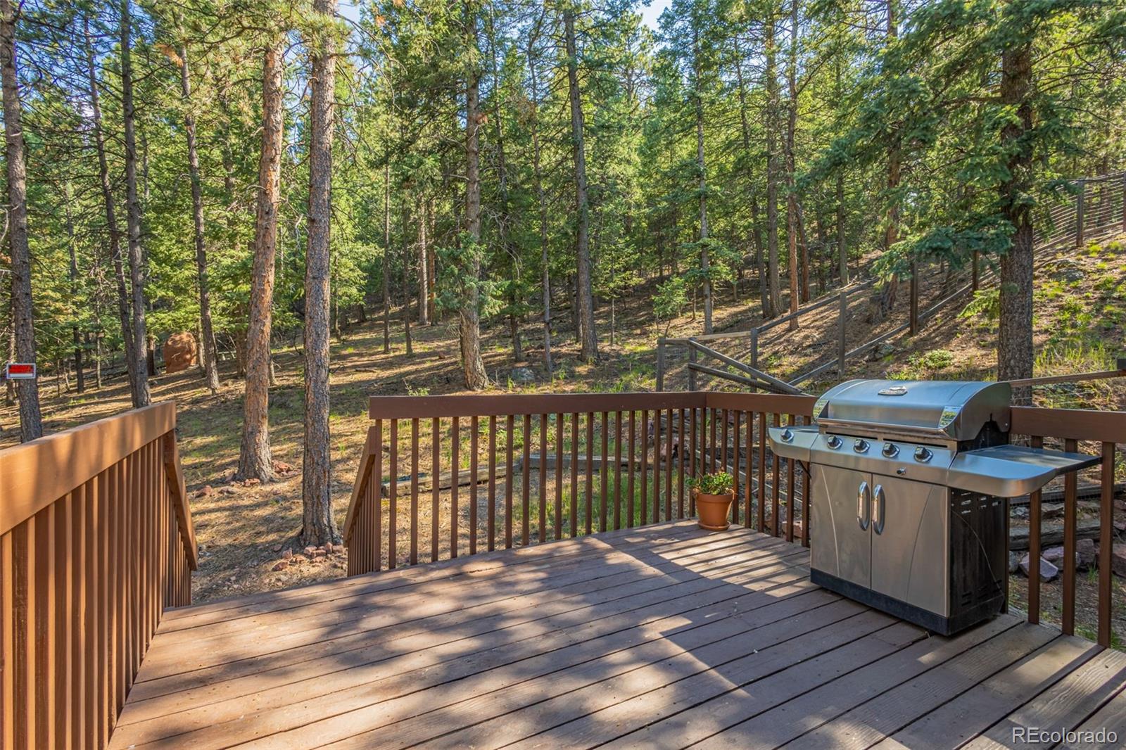 MLS Image #22 for 1309 w browning avenue,woodland park, Colorado