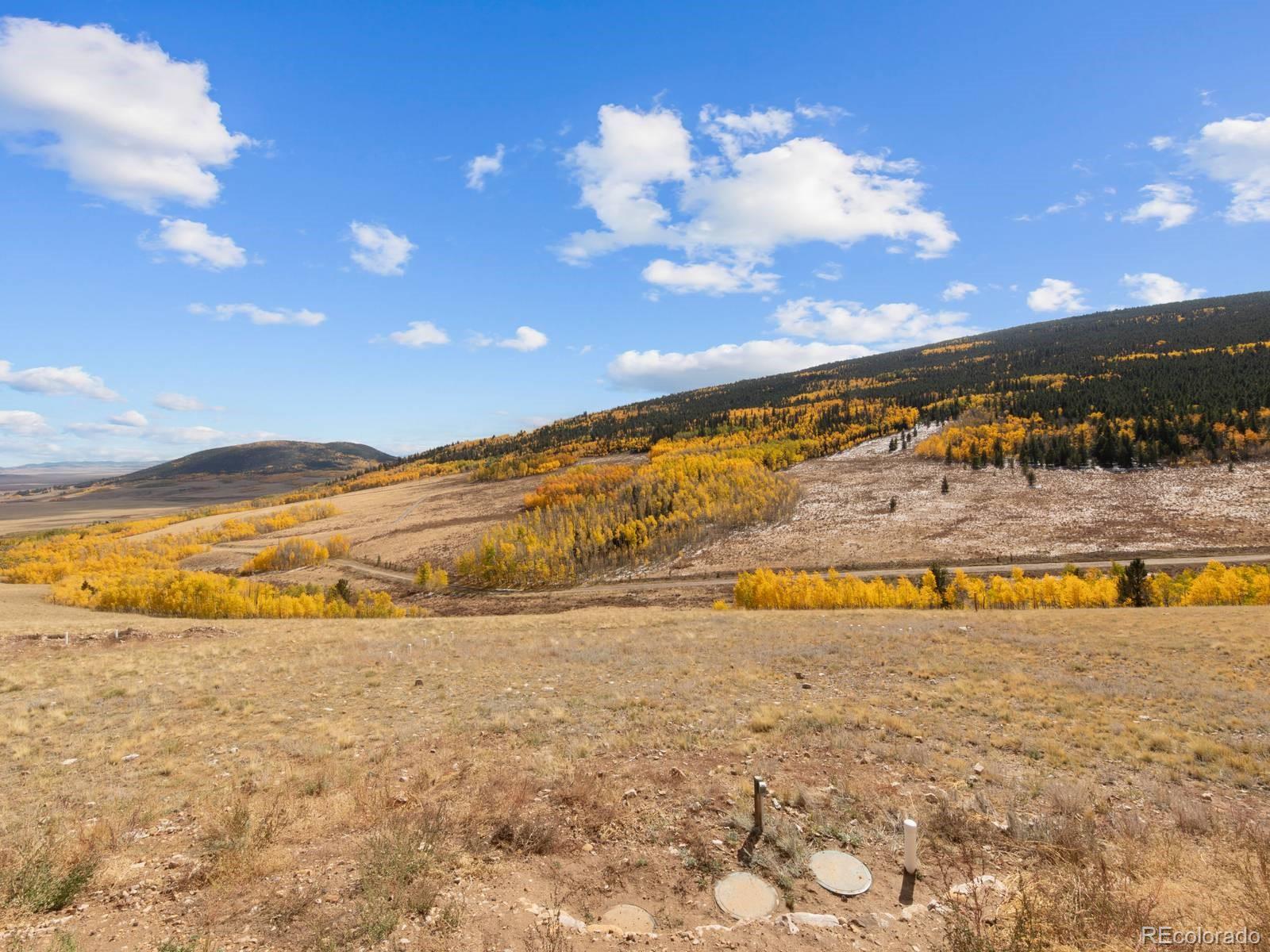 MLS Image #17 for 2687  high creek road,fairplay, Colorado