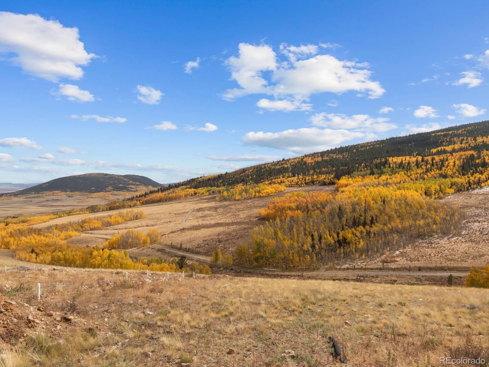 MLS Image #23 for 2687  high creek road,fairplay, Colorado