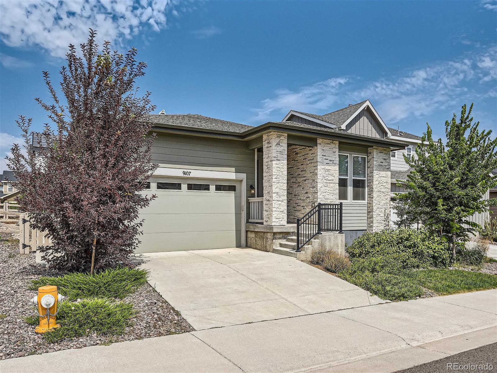 MLS Image #0 for 9107  fraser river street,littleton, Colorado