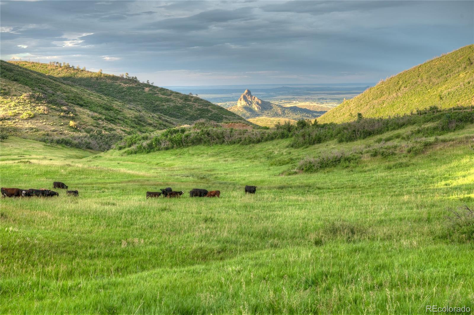 MLS Image #36 for 850  rilling canyon road,la veta, Colorado