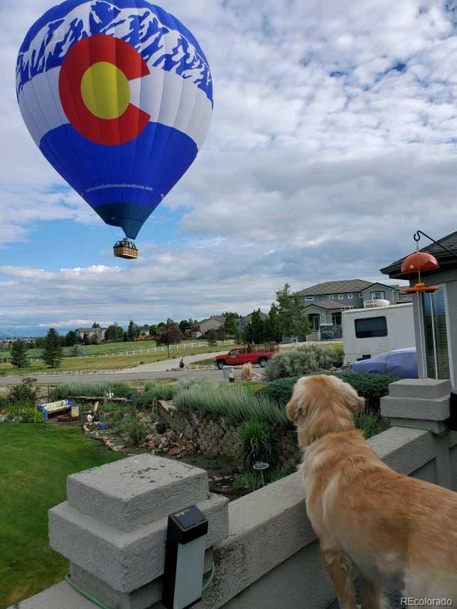 MLS Image #18 for 290  commander drive,erie, Colorado