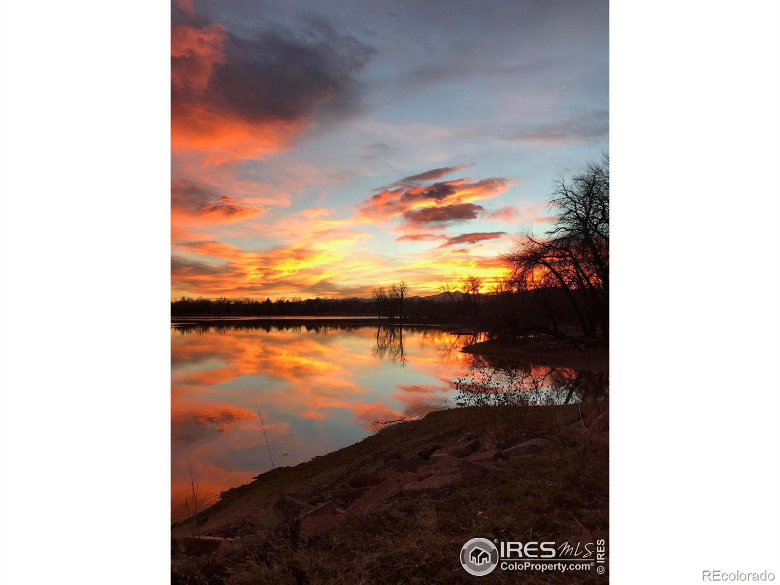 MLS Image #6 for 1009  sailors reef ,fort collins, Colorado