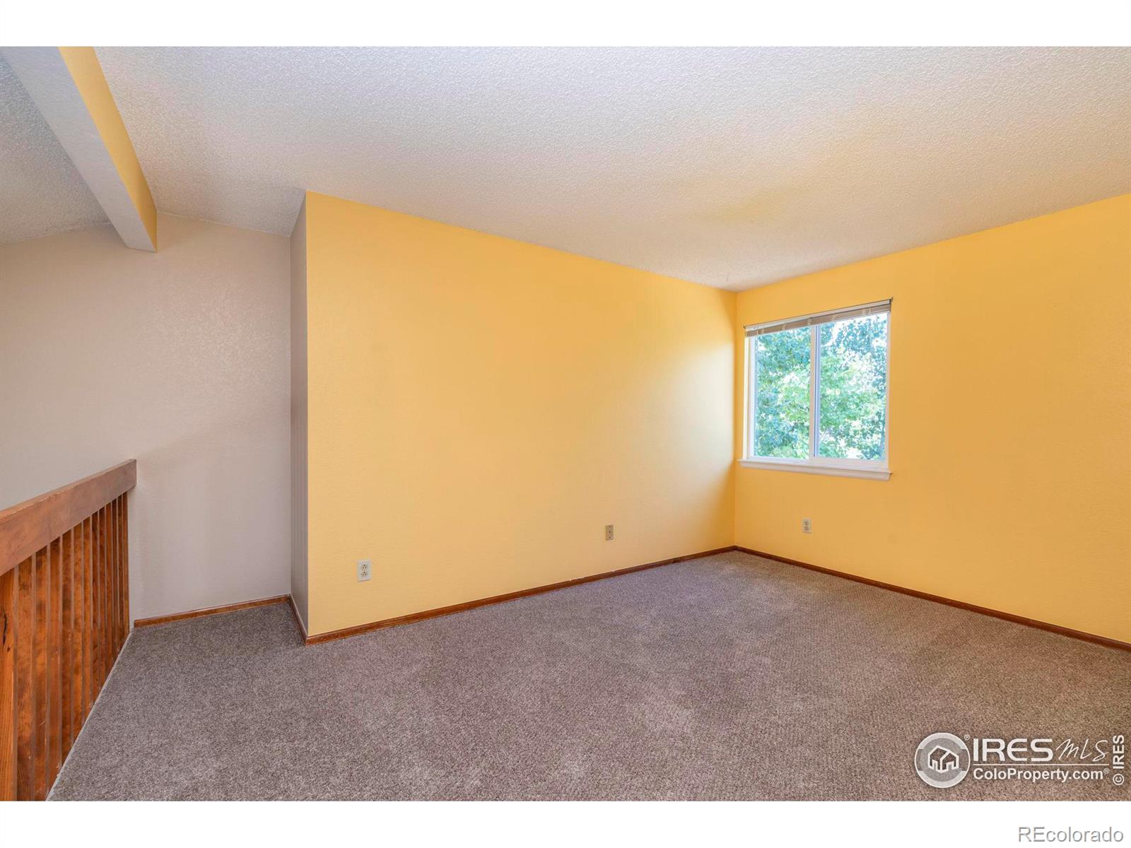 MLS Image #14 for 1733  spencer street,longmont, Colorado