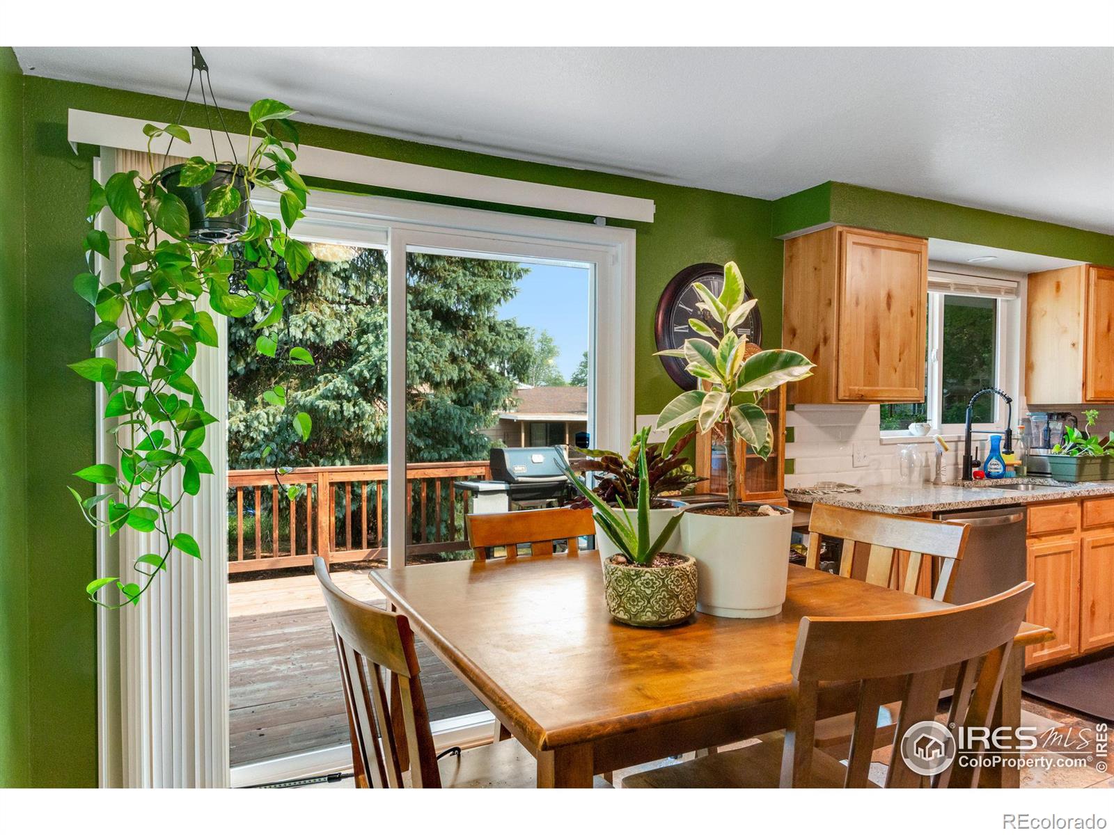 MLS Image #6 for 1716 w prospect road,fort collins, Colorado