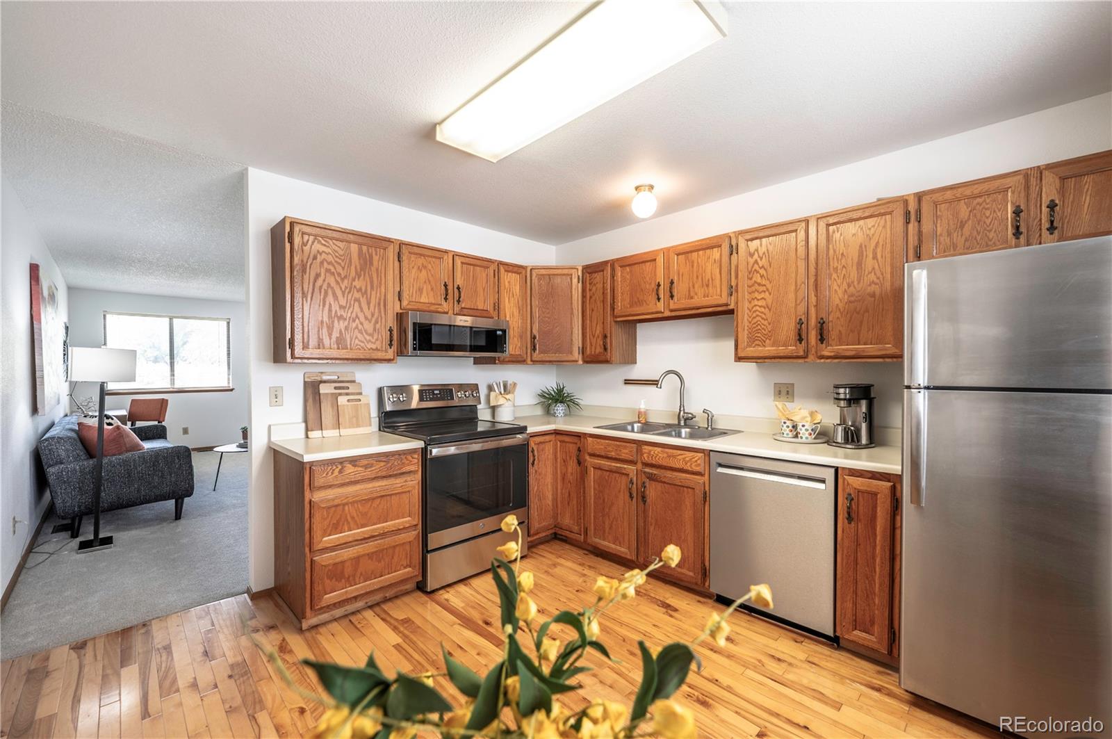 MLS Image #8 for 313  southridge place,longmont, Colorado