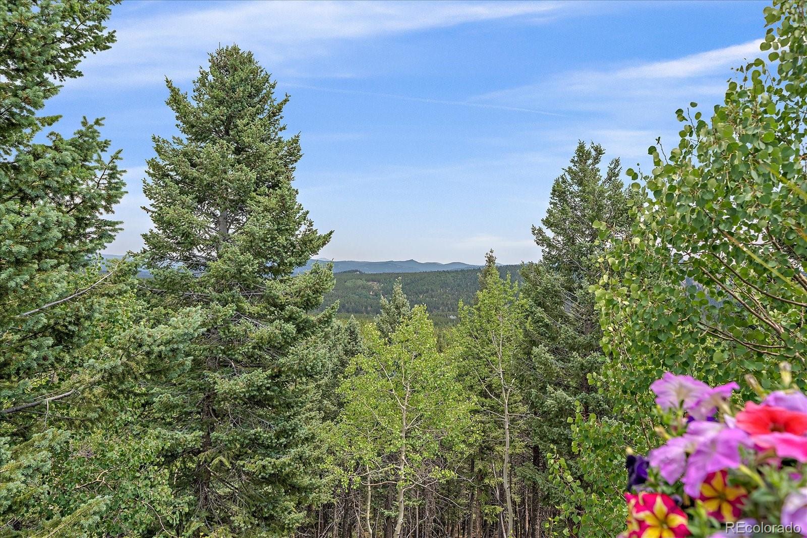 MLS Image #41 for 10438  christopher drive,conifer, Colorado