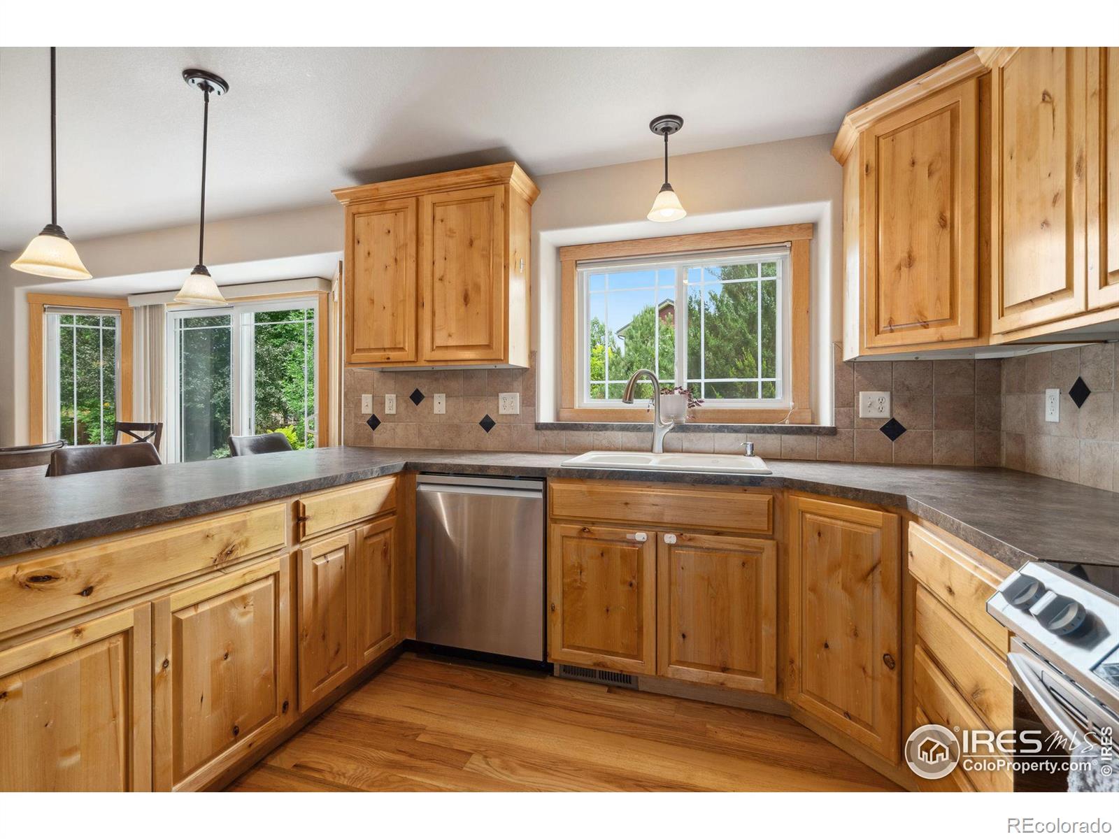 MLS Image #9 for 1408  expedition court,fort collins, Colorado