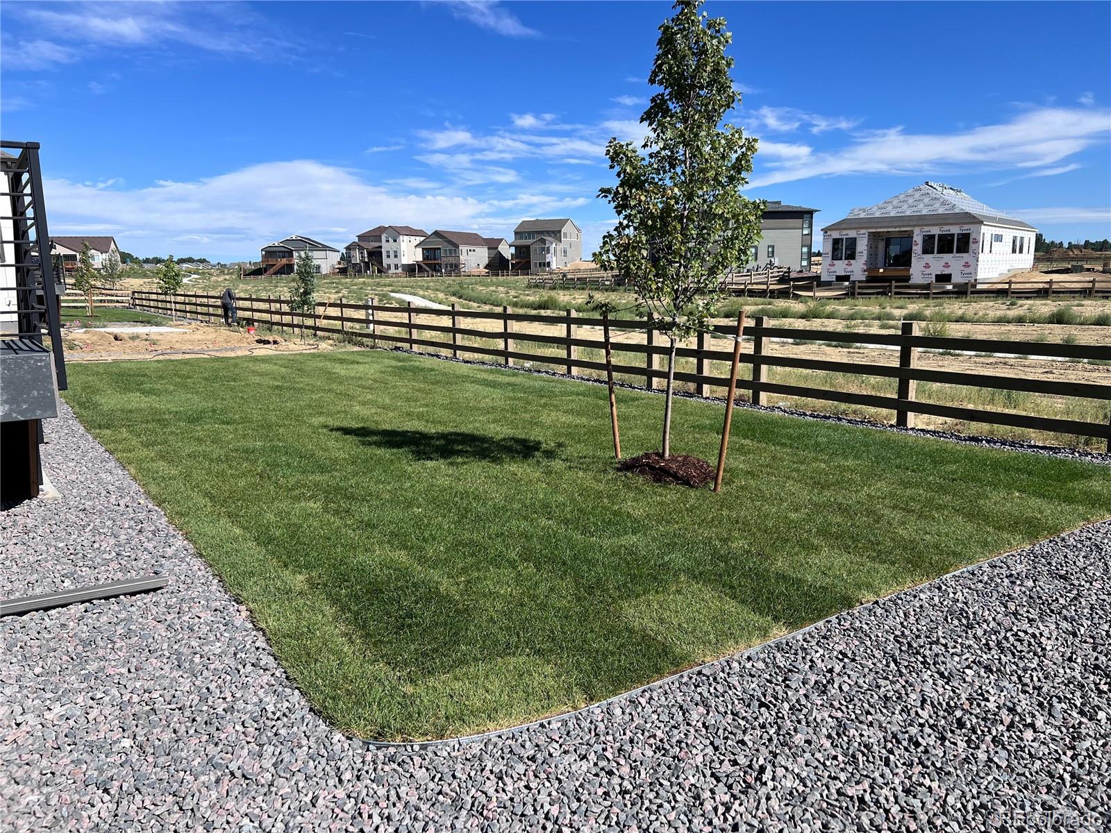 MLS Image #15 for 1340  alyssa drive,timnath, Colorado