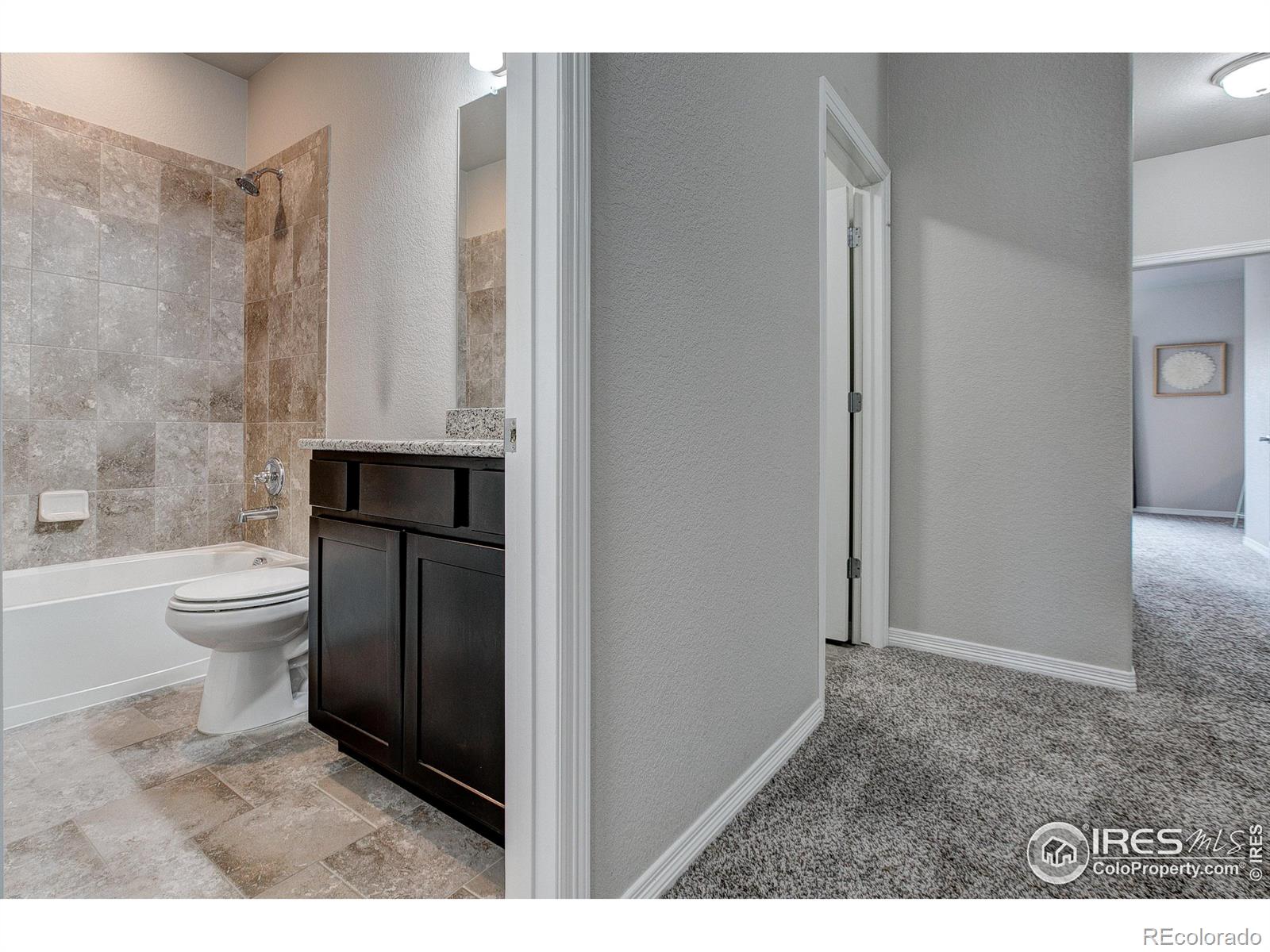 MLS Image #25 for 2411  crown view drive,fort collins, Colorado