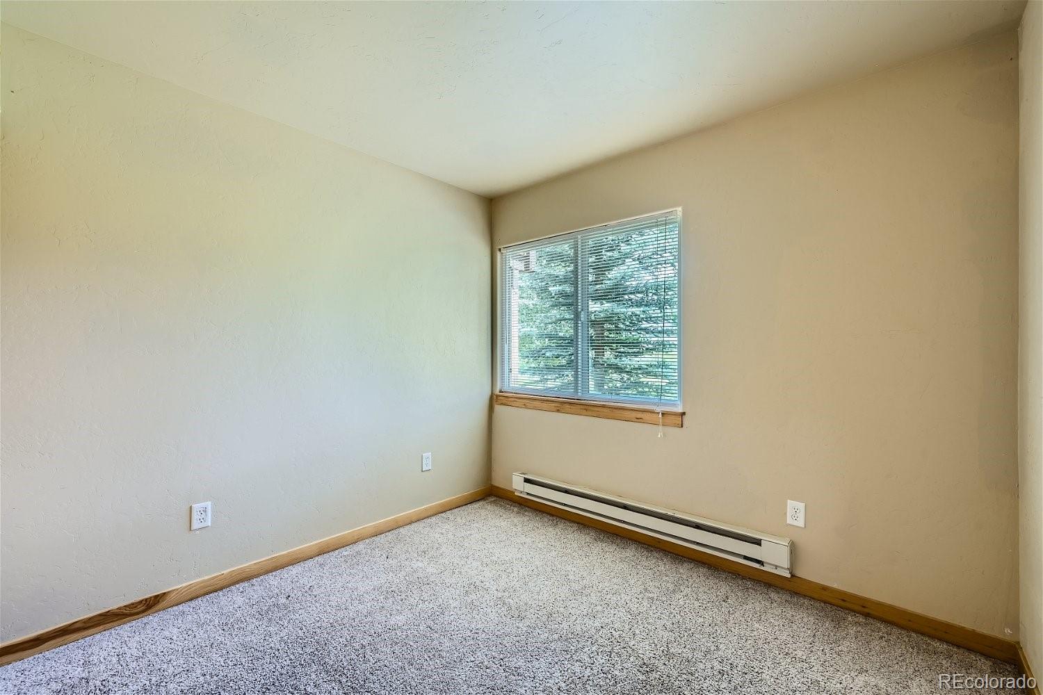 MLS Image #20 for 1079  royal coachman boulevard,dillon, Colorado