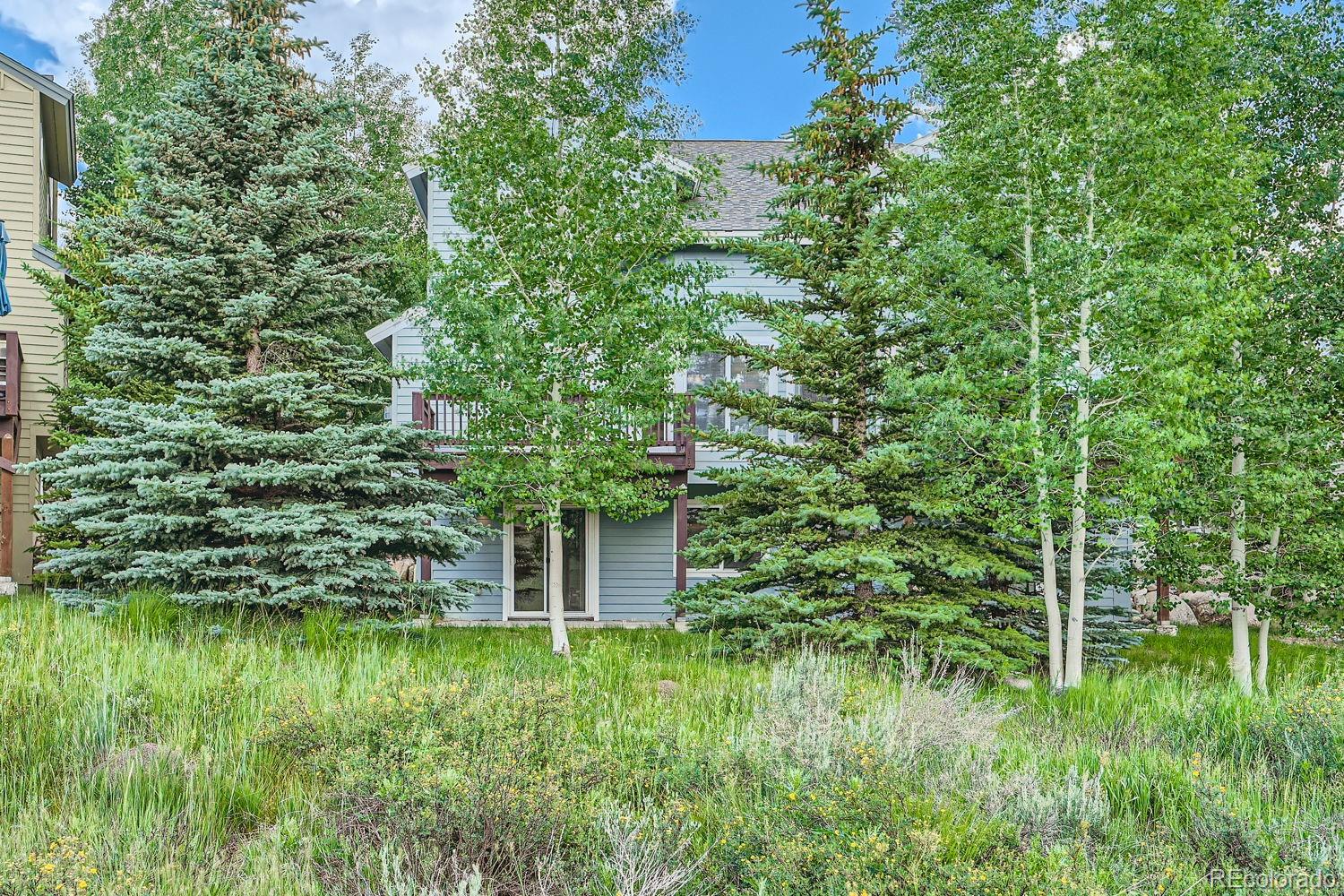 MLS Image #26 for 1079  royal coachman boulevard,dillon, Colorado