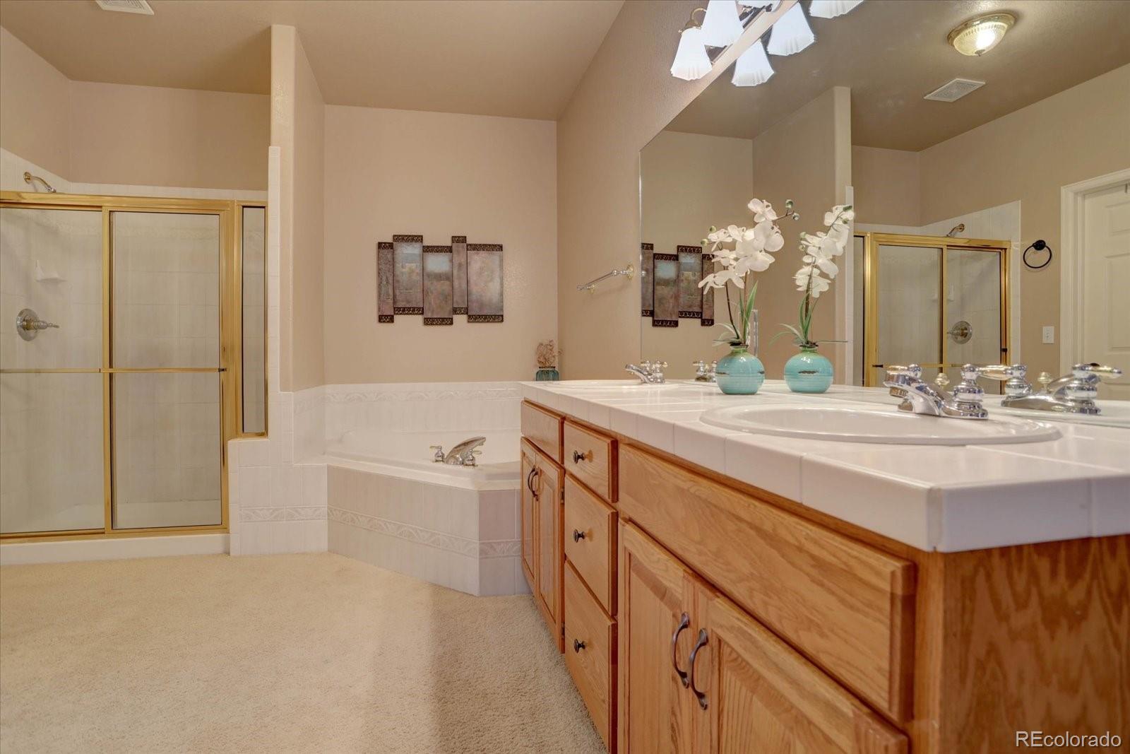 MLS Image #18 for 4276  red rock drive,larkspur, Colorado