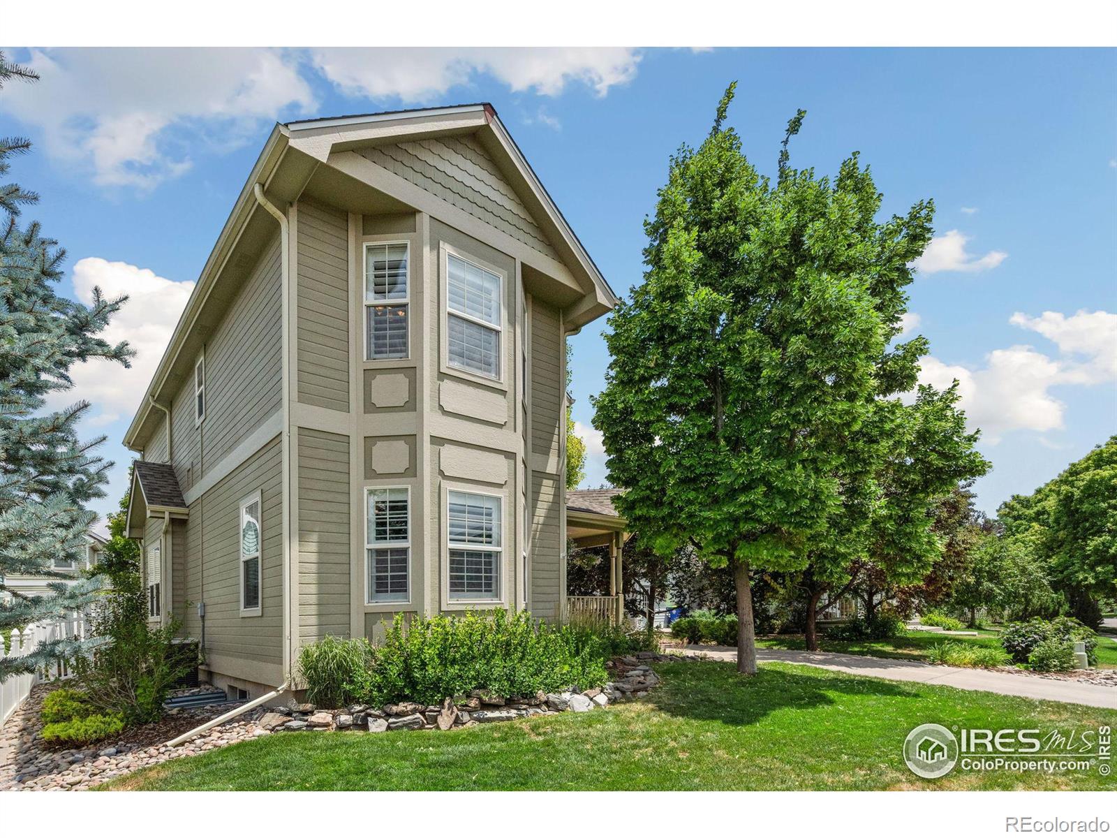 MLS Image #2 for 1218  crescent drive,windsor, Colorado