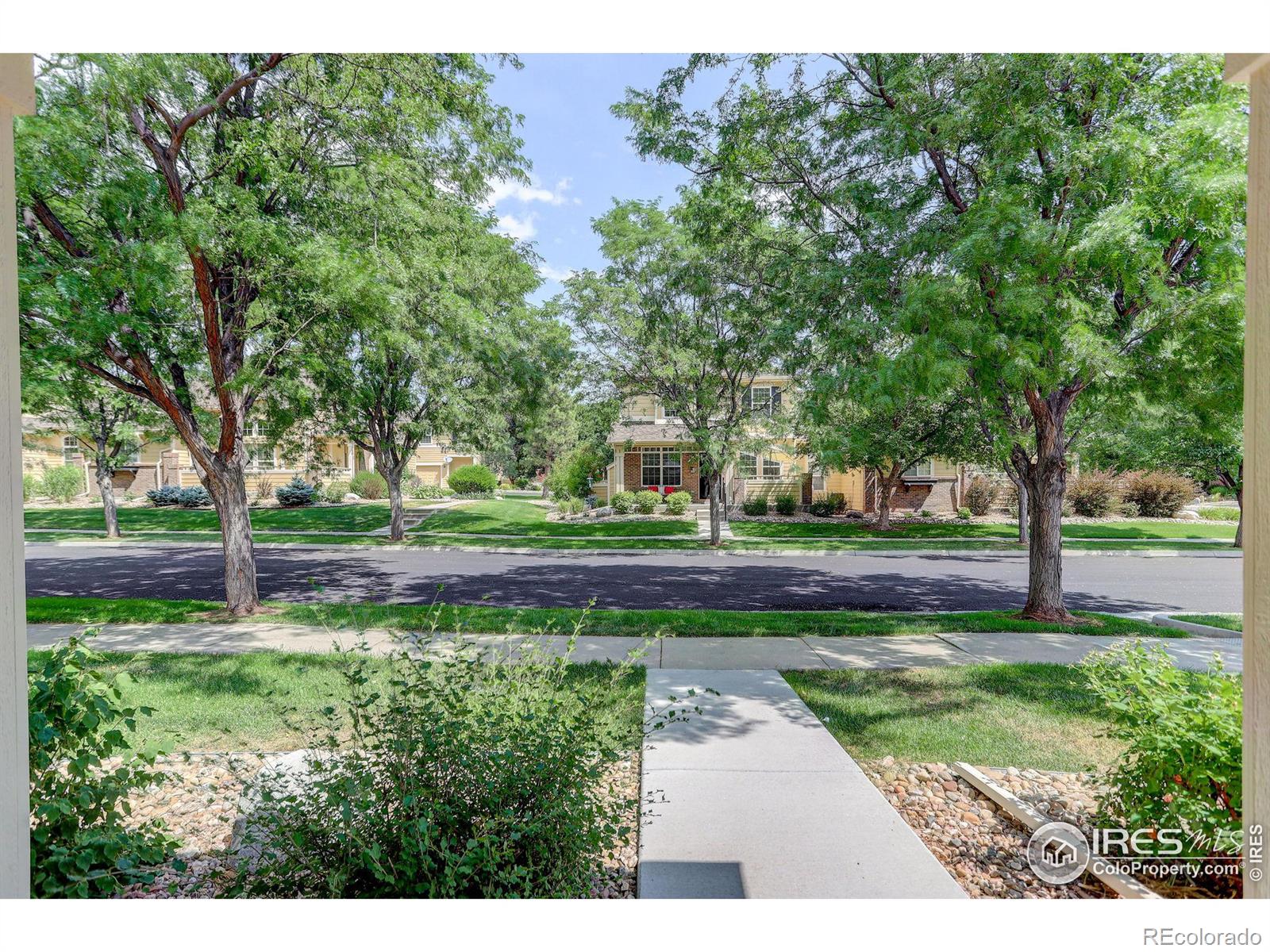 MLS Image #2 for 2915  spacious skies drive,fort collins, Colorado